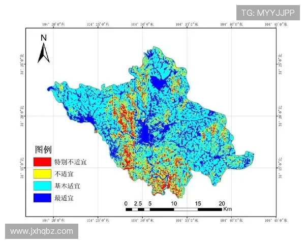 北京乒乓球队在挑战赛中的技术表现分析与点评探讨 北京乒乓球队在挑战赛中的技术表现分析与点评探讨