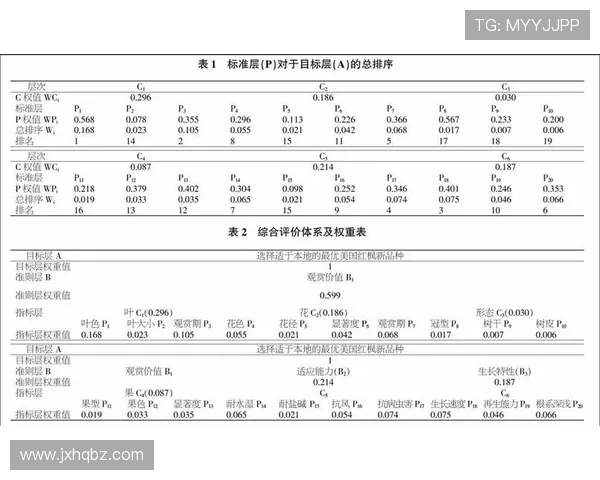 南京篮球队在奥运会中的心理素质表现分析与点评